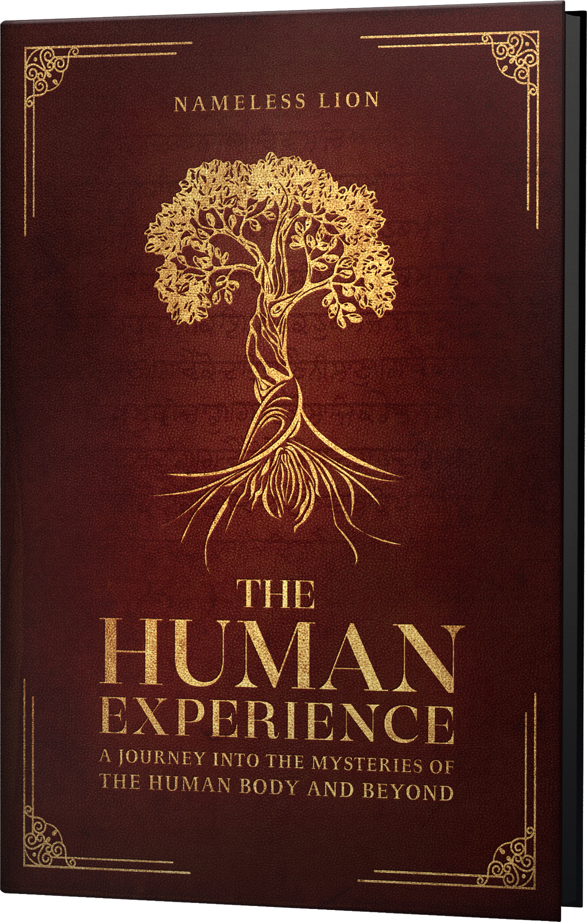 The Human Experience - A book by Nameless Lion